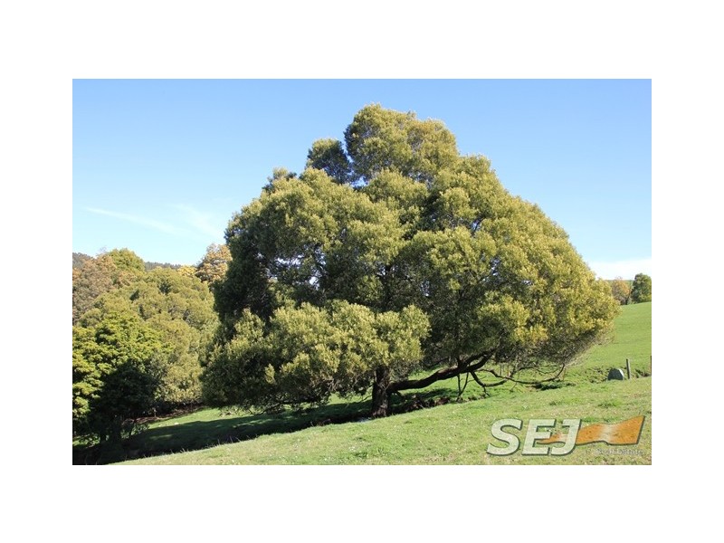 327 Ferndale Road, Ferndale VIC 3821