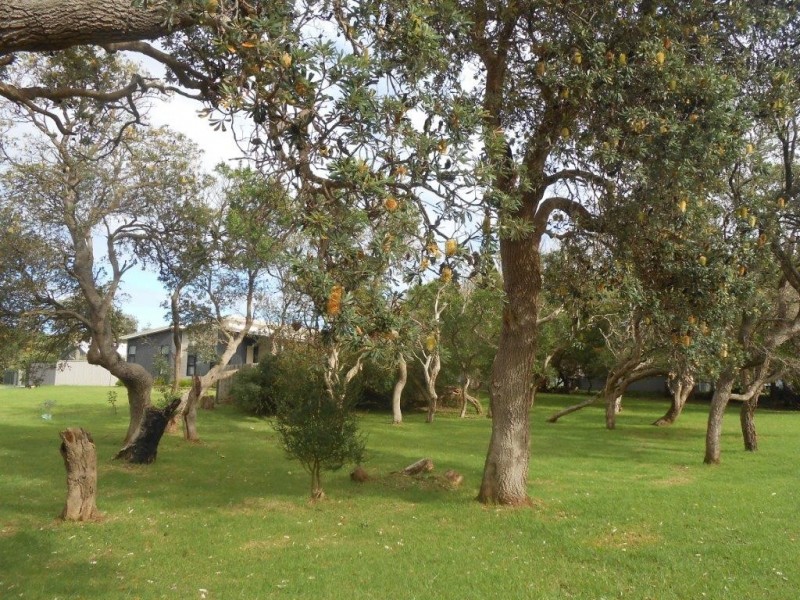 32 Ash Avenue, Sandy Point VIC 3959