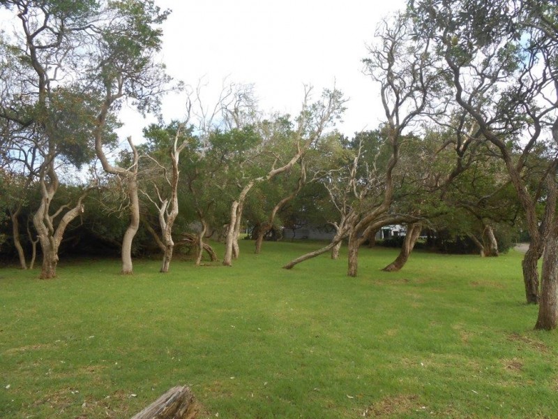 32 Ash Avenue, Sandy Point VIC 3959