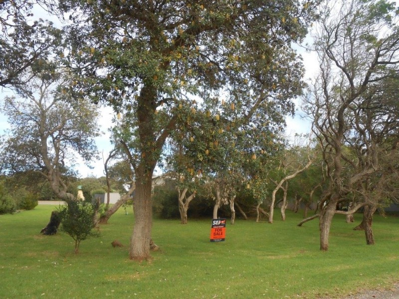 32 Ash Avenue, Sandy Point VIC 3959