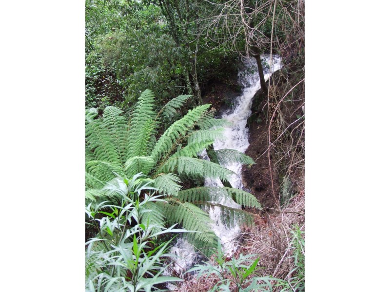 830 Foster Mount Best Road, Mount Best VIC 3960