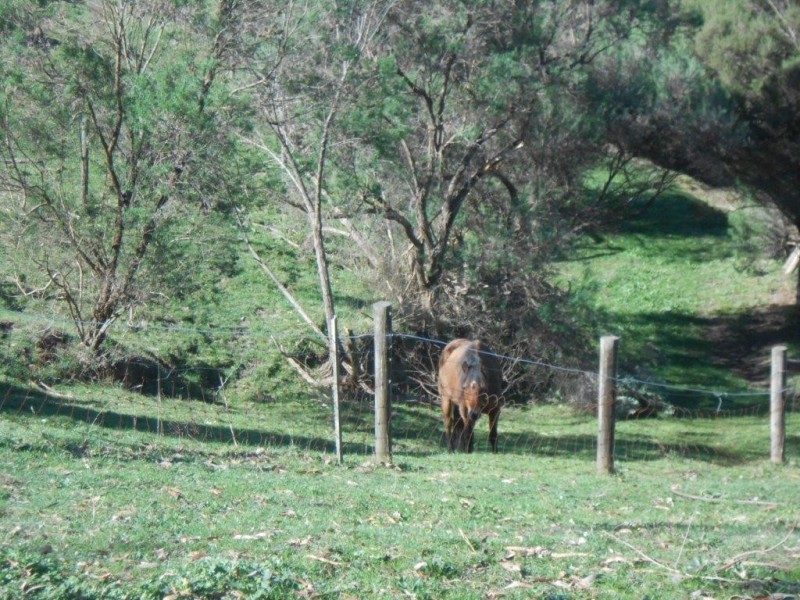 830 Foster Mount Best Road, Mount Best VIC 3960