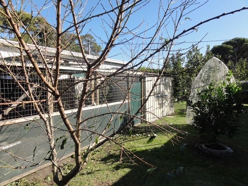 37 Main Street, Welshpool VIC 3966