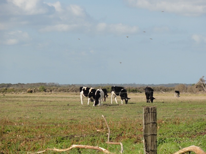 3 Lawsons Road, Toora VIC 3962