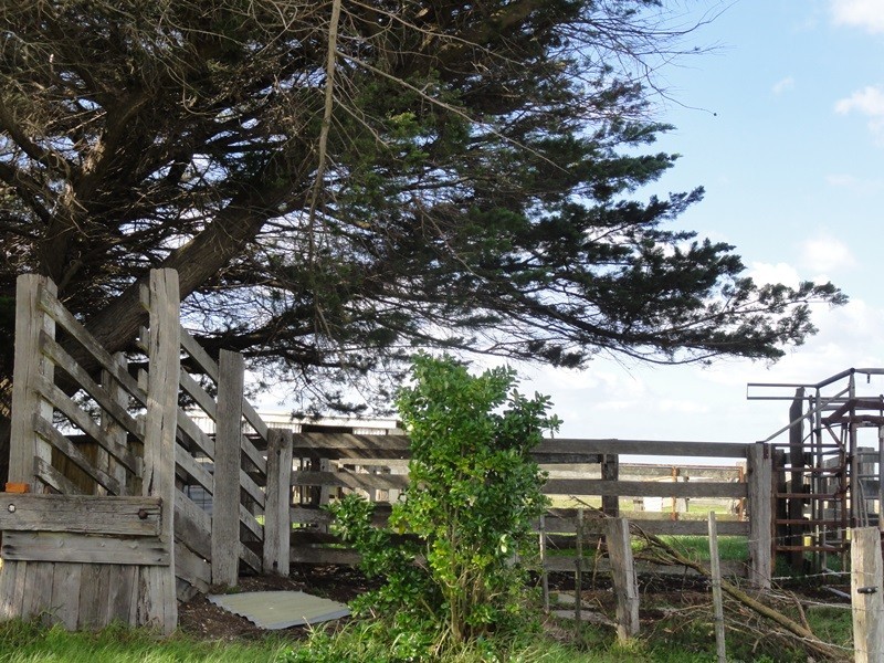 3 Lawsons Road, Toora VIC 3962