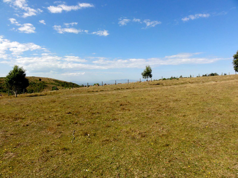 Lot 6, 223 O’Gradys Ridge Road, Foster VIC 3960