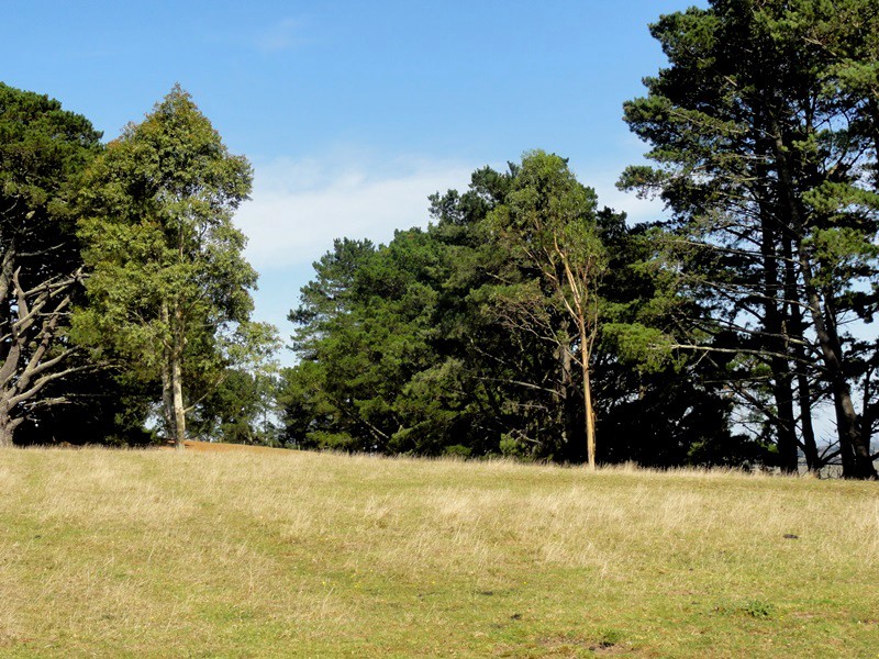 Lot 6, 223 O’Gradys Ridge Road, Foster VIC 3960