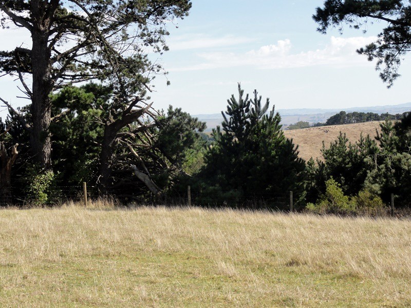 Lot 6, 223 O’Gradys Ridge Road, Foster VIC 3960