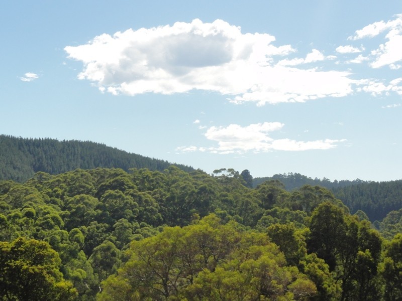 1045 Boolarra Foster Road, Foster VIC 3960