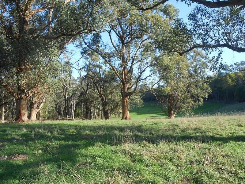 210 Linton  Rd, Foster VIC 3960