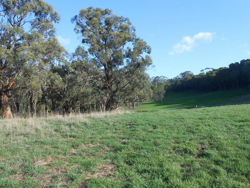 210 Linton  Rd, Foster VIC 3960