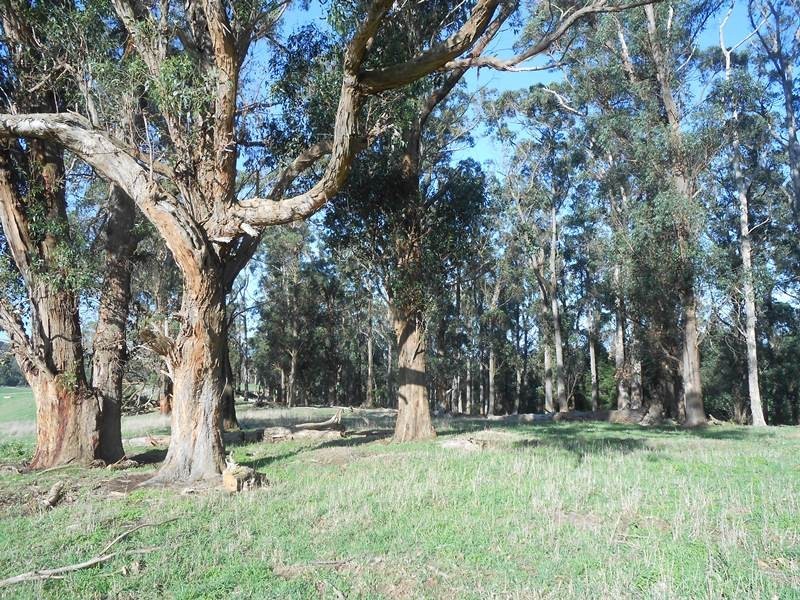 210 Linton  Rd, Foster VIC 3960