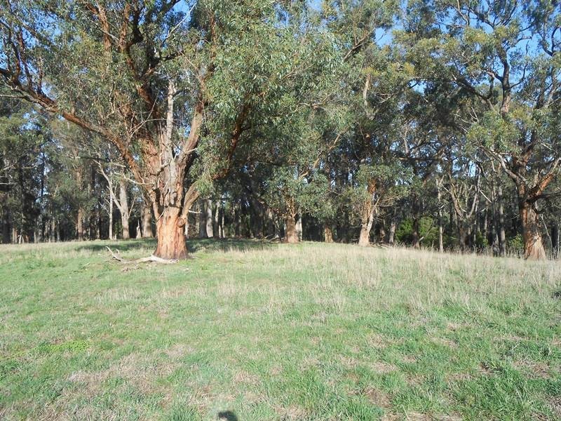 210 Linton  Rd, Foster VIC 3960