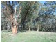 210 Linton  Rd, Foster VIC 3960
