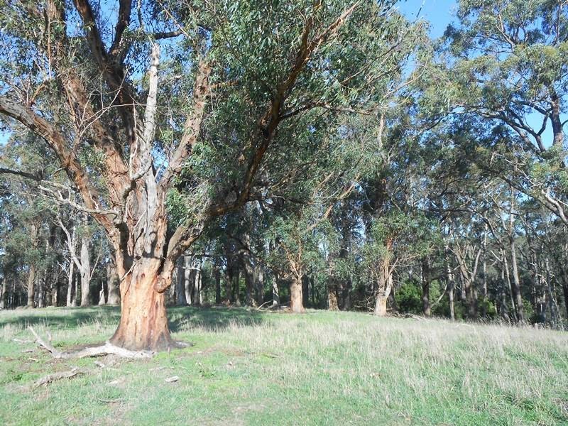 210 Linton  Rd, Foster VIC 3960