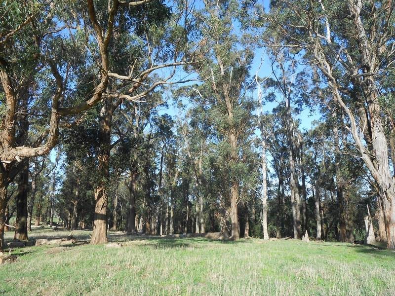 210 Linton  Rd, Foster VIC 3960