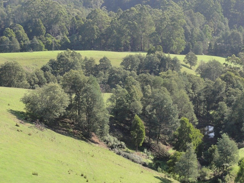 35 Bakers Road, Foster VIC 3960