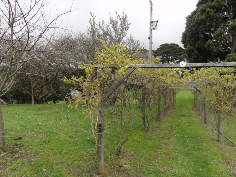 35 Bakers Road, Foster VIC 3960