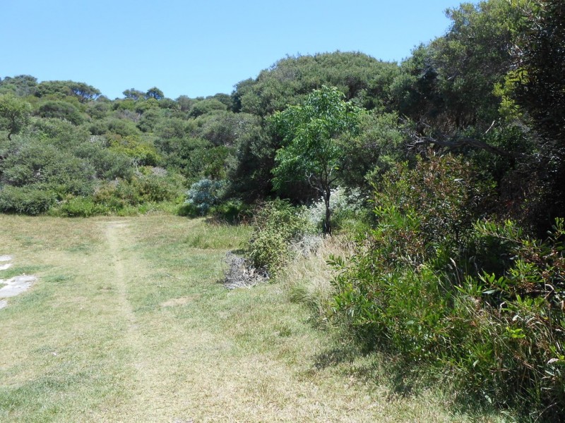 58 Beach Parade, Sandy Point VIC 3959