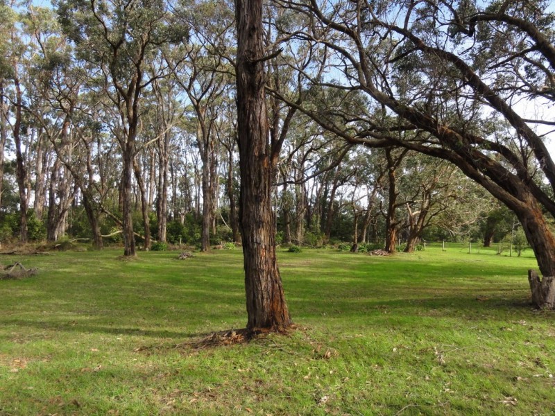 13 Yellow Brick Road, Foster VIC 3960