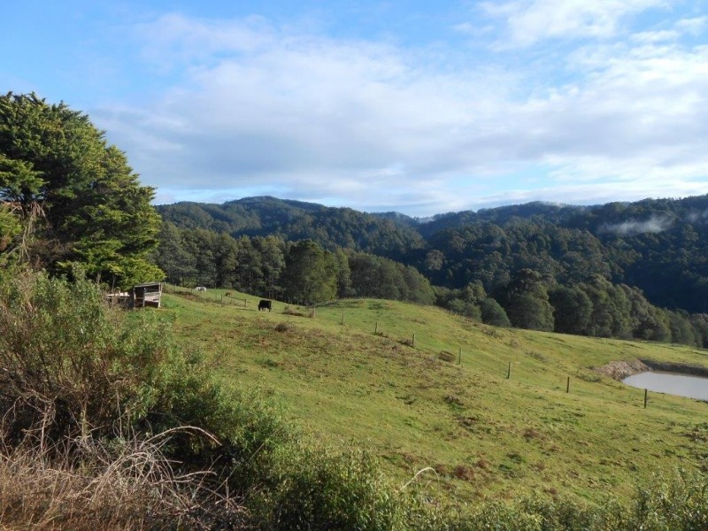 295 Mount Best Tin Mine Rd, Toora North VIC 3962