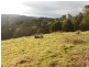 295 Mount Best Tin Mine Rd, Toora North VIC 3962