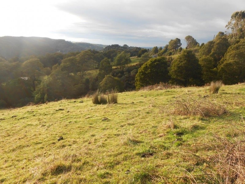295 Mount Best Tin Mine Rd, Toora North VIC 3962