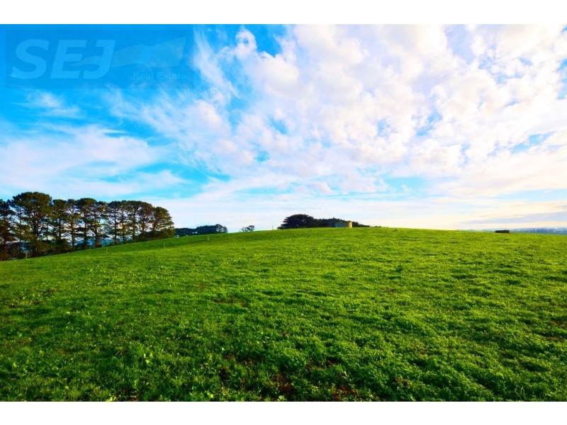 655 Canavans Rd, Mount Eccles VIC 3953