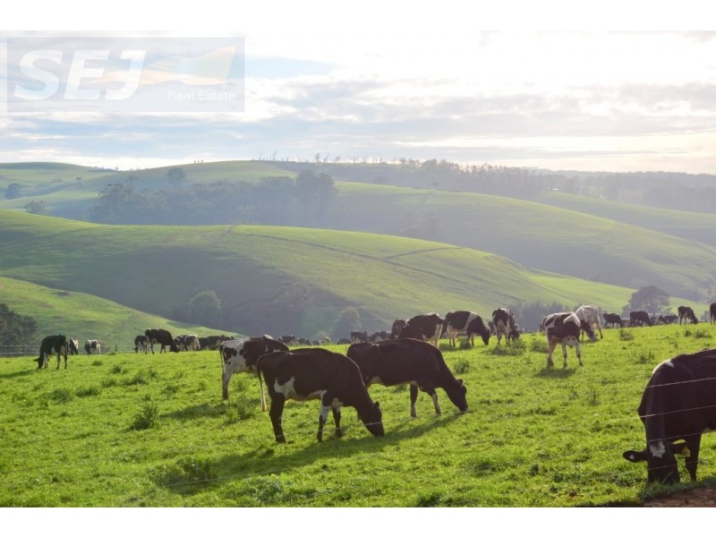 655 Canavans Rd, Mount Eccles VIC 3953