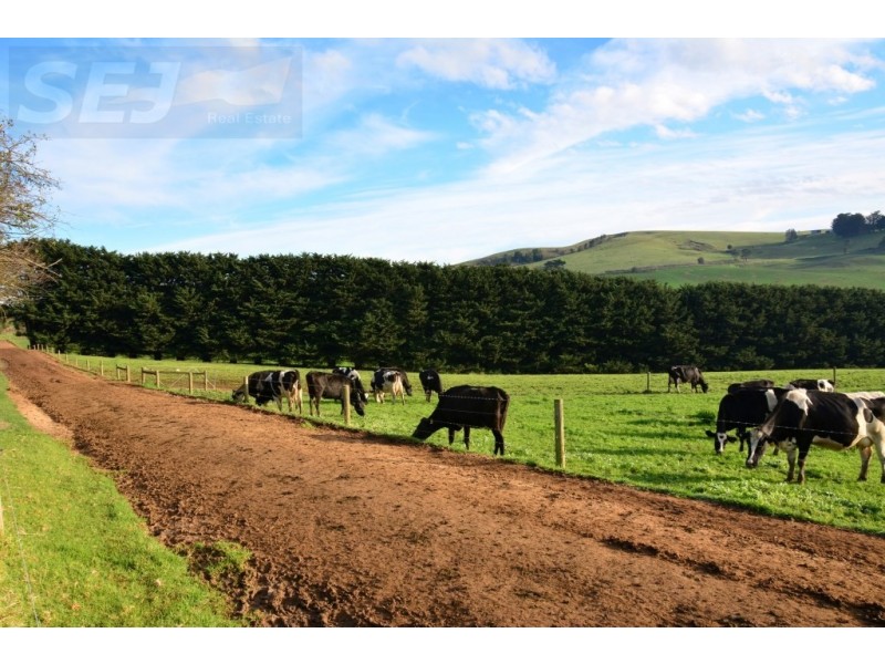 655 Canavans Rd, Mount Eccles VIC 3953