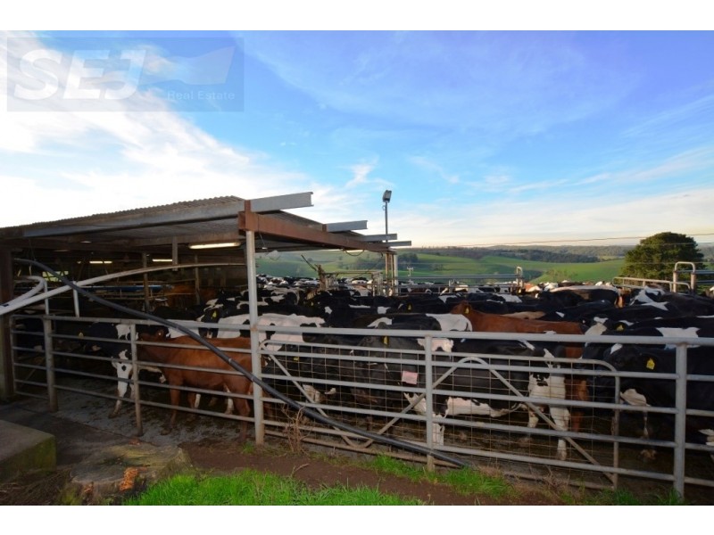 655 Canavans Rd, Mount Eccles VIC 3953