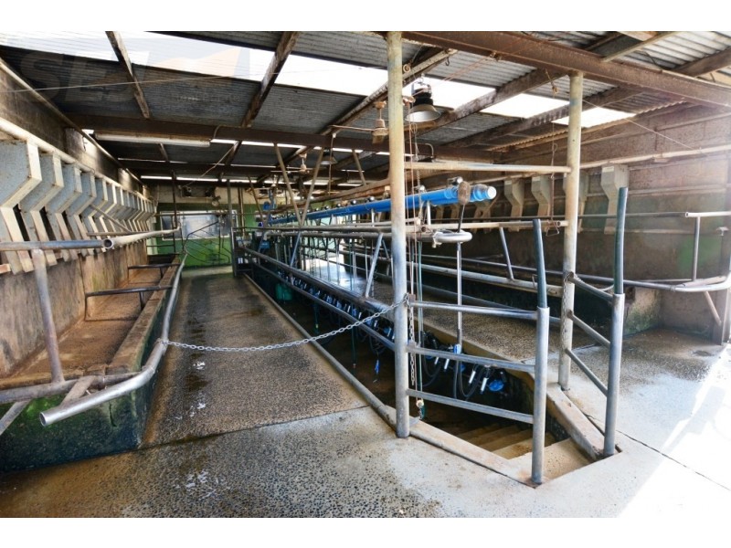 655 Canavans Rd, Mount Eccles VIC 3953