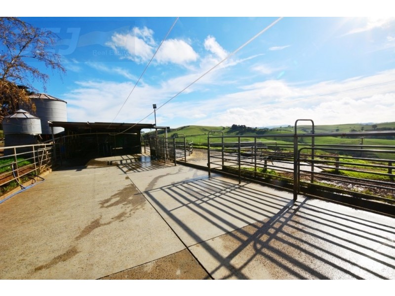 655 Canavans Rd, Mount Eccles VIC 3953