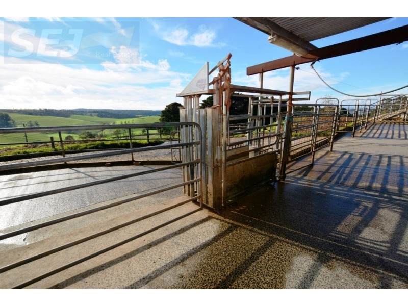 655 Canavans Rd, Mount Eccles VIC 3953