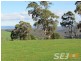 Rees Road, Hill End VIC 3825