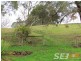 394 Weirs Road, Narracan VIC 3824