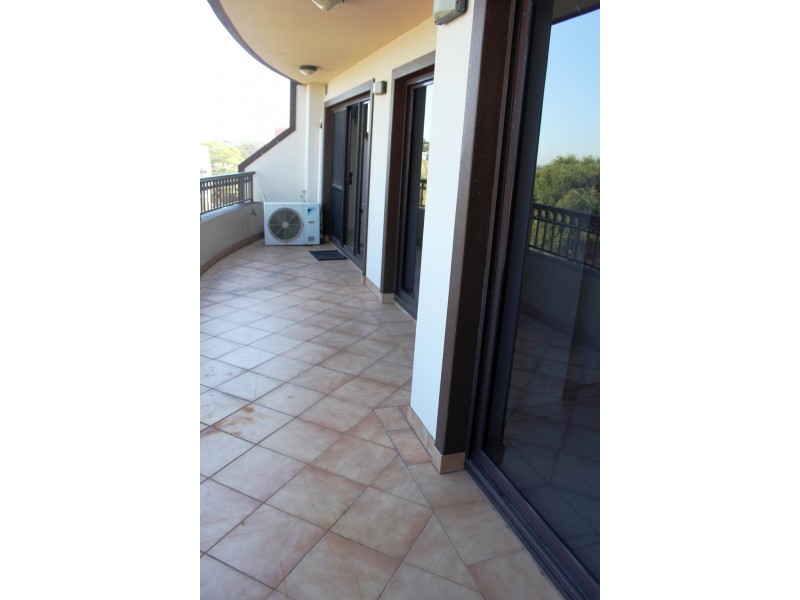 16/98 Audley Street, Petersham NSW 2049