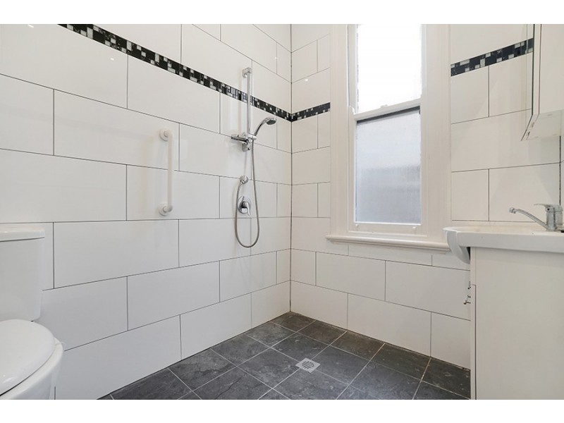 3 Shaw Street, Petersham NSW 2049