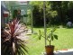 81 MORGAN ST, Petersham NSW 2049