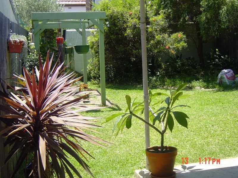 81 MORGAN ST, Petersham NSW 2049