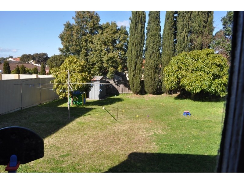 58 Gueudecourt Street, Earlwood NSW 2206