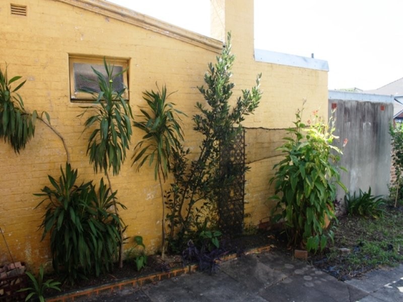 1/19 Gordon Street, Petersham NSW 2049