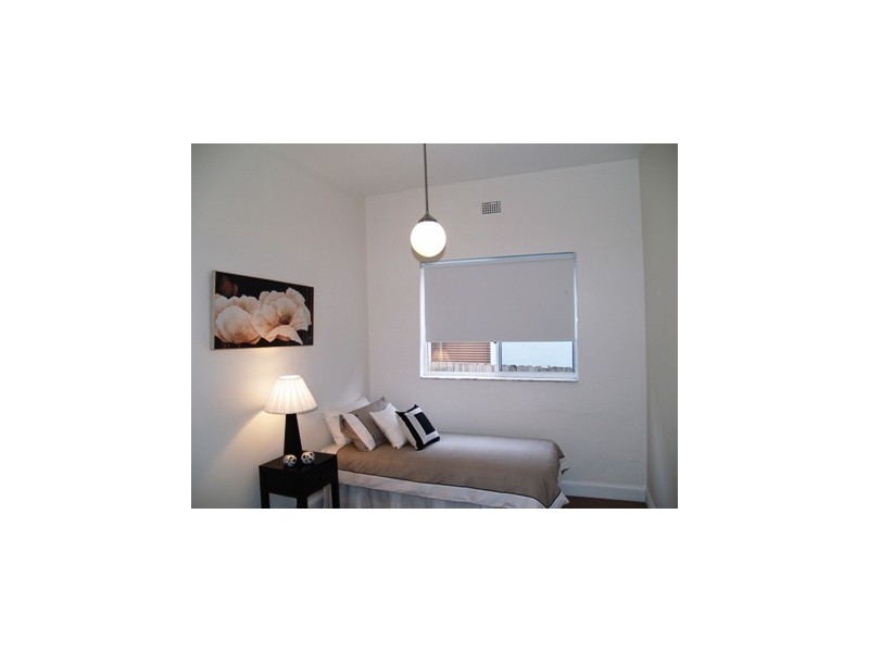 241 Corunna Road, Petersham NSW 2049