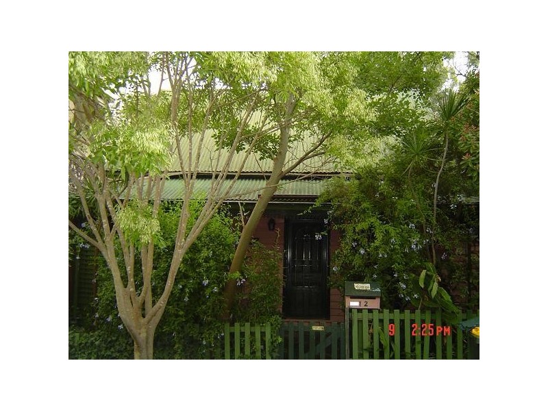 12 BURNS ST, Petersham NSW 2049