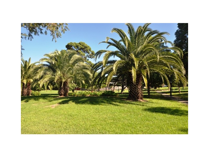 23 Gould Avenue, Lewisham NSW 2049