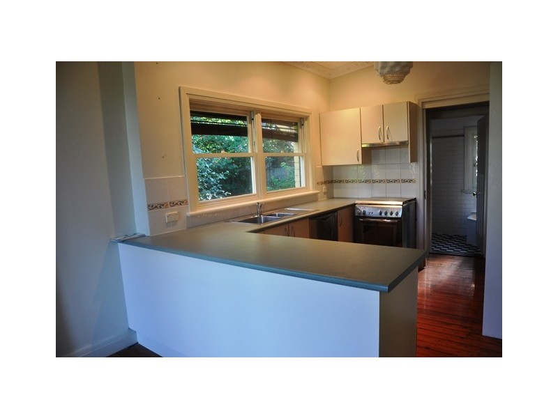 44 Gould Avenue, Lewisham NSW 2049