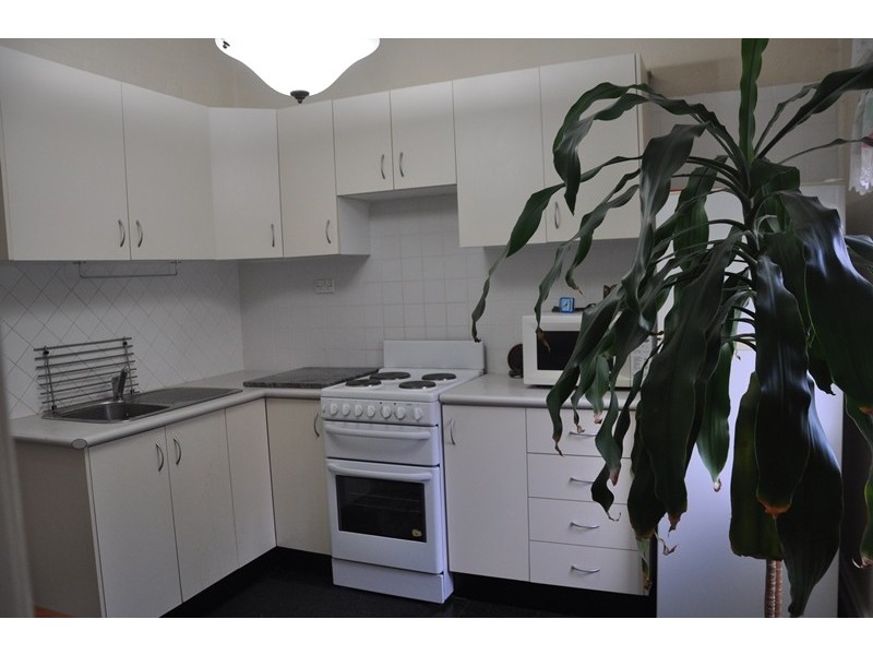 29 Croydon Street, Petersham NSW 2049