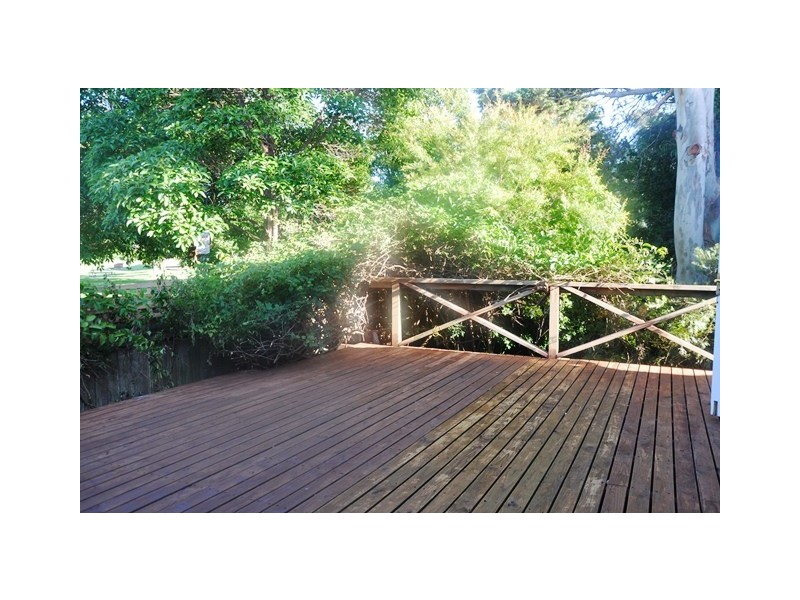 44 Gould Avenue, Petersham NSW 2049