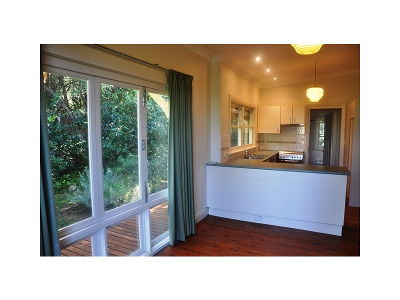 44 Gould Avenue, Petersham NSW 2049