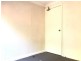 55 Windsor Road, Dulwich Hill NSW 2203